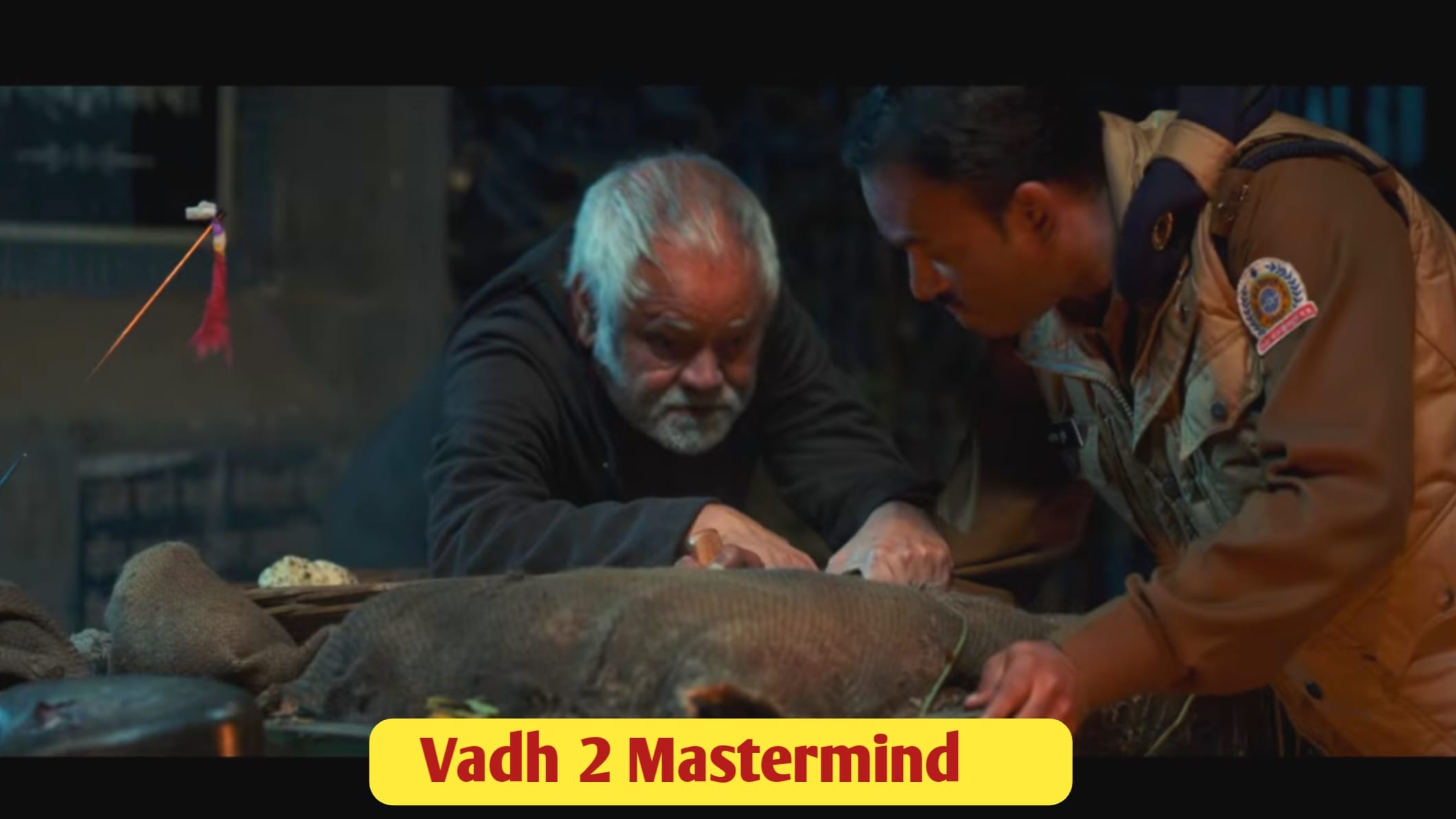 Vadh 2 Movie Star Cast Sanjay Mishra and Neena Gupta Ending Explained